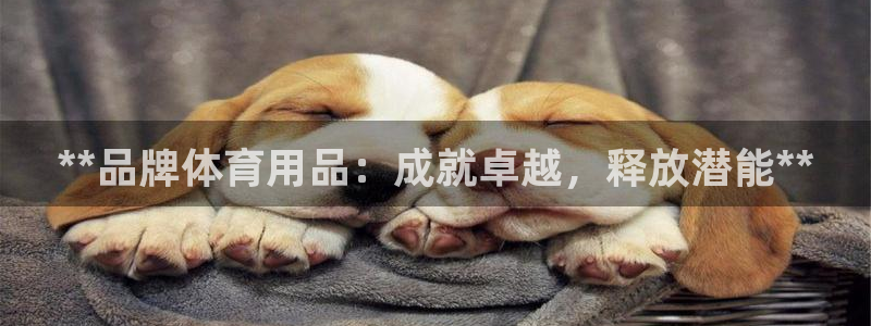 欧陆游戏平台：**品牌体育用品：成就卓越，释放潜能*