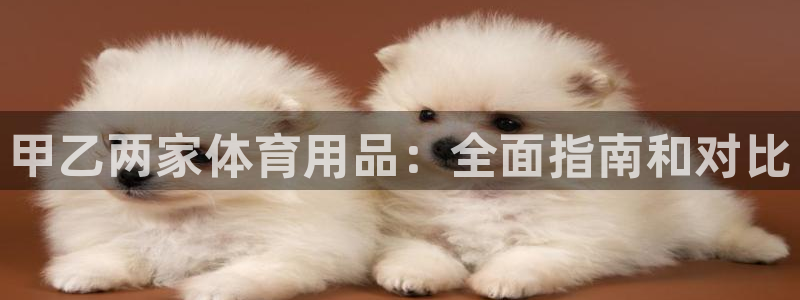 欧陆娱乐计划预测软件哪个好：甲乙两家体育用品：全面指