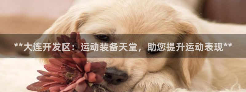 欧陆娱乐游戏：**大连开发区：运动装备天堂，助您提升
