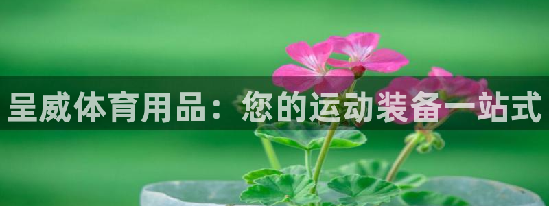 欧陆娱乐简介：呈威体育用品：您的运动装备一站式