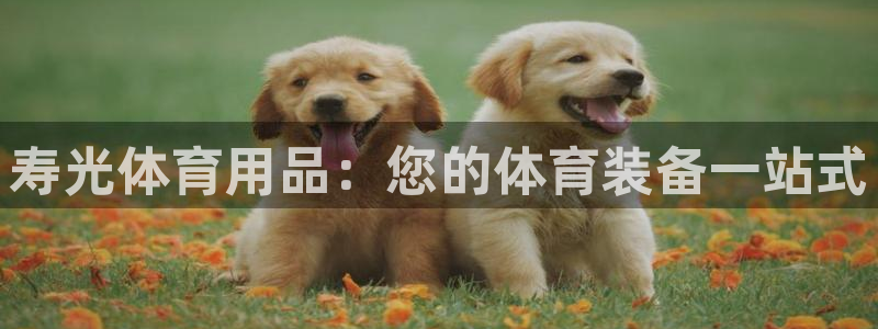欧陆娱乐客服人工电话：寿光体育用品：您的体育装备一站