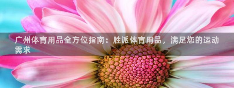 欧陆娱乐能赚钱吗：广州体育用品全方位指南：胜派体育用