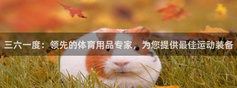 重庆欧陆娱乐有限公司怎么样：三六一度：领先的体育用品