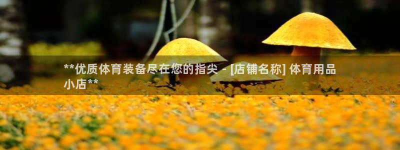 欧陆娱乐共创美好时刻：**优质体育装备尽在您的指尖 