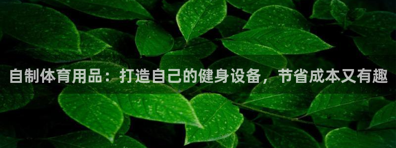 欧陆娱乐登录平台下载：自制体育用品：打造自己的健身设