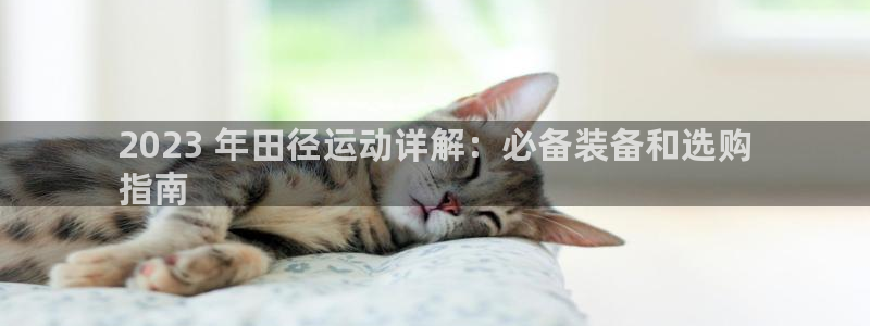 欧陆娱乐注册链接怎么弄：2023 年田径运动详解：必