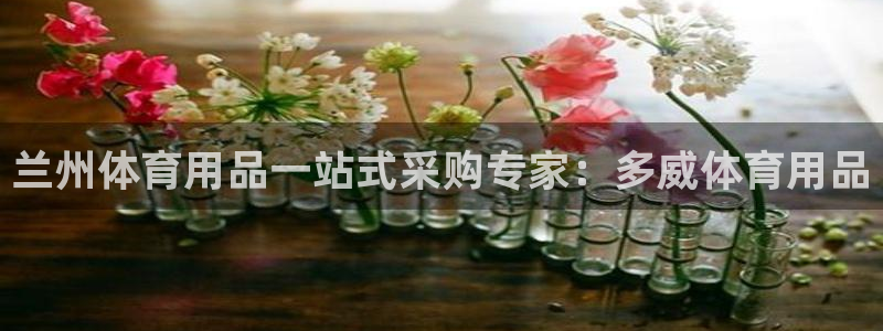 欧陆娱乐系统教程：兰州体育用品一站式采购专家：多威体