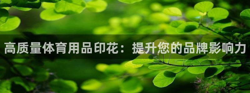 欧陆娱乐平台登陆地址在哪看：高质量体育用品印花：提升