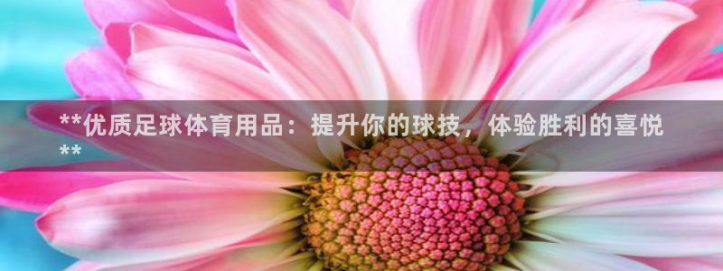 欧陆娱乐请输入USDT地址：**优质足球体育用品：提