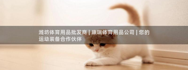 欧陆娱乐脚本下载：潍坊体育用品批发商 | 康瑞体育用