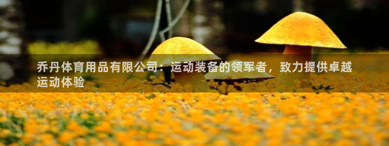 欧陆娱乐挂机怎么玩的：乔丹体育用品有限公司：运动装备