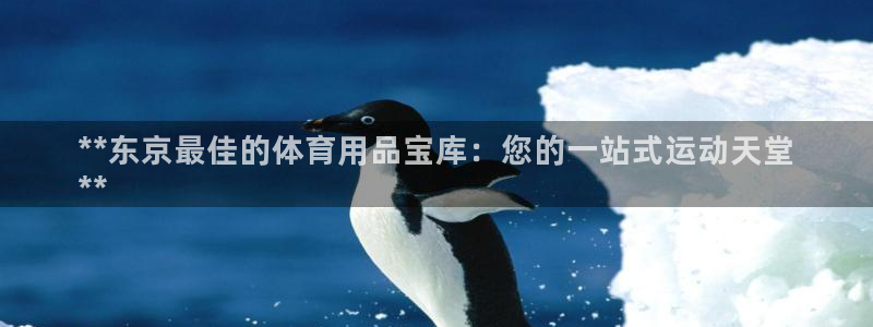 欧陆娱乐测速：**东京最佳的体育用品宝库：您的一站式
