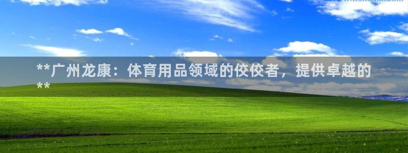 欧陆娱乐有限公司：**广州龙康：体育用品领域的佼佼者