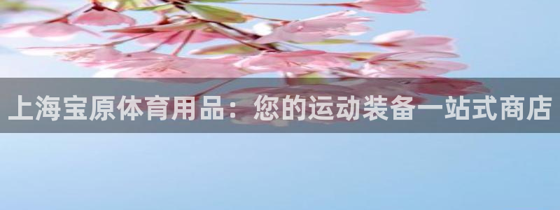 欧陆娱乐注册代理多少钱一个月：上海宝原体育用品：您的