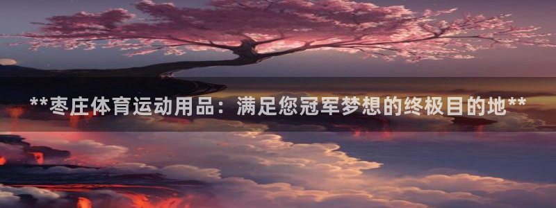 欧陆娱乐官网首页下载：**枣庄体育运动用品：满足您冠