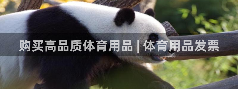 欧陆娱乐怎么注册会员账号：购买高品质体育用品 | 体