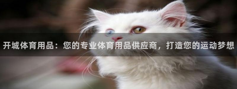 欧陆娱乐平台登录不上去：开城体育用品：您的专业体育用