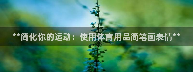 欧陆娱乐官方网站下载：**简化你的运动：使用体育用品