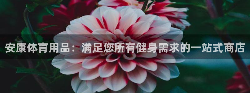 欧陆娱乐访问：安康体育用品：满足您所有健身需求的一站
