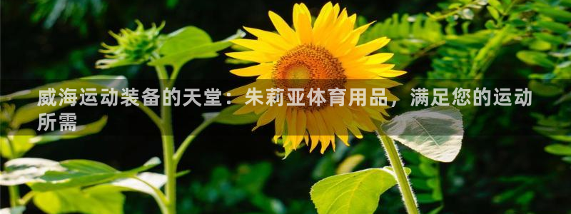 欧陆娱乐app打不开怎么回事：威海运动装备的天堂：朱