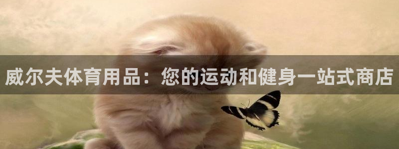 欧陆娱乐平台咋样啊安全吗：威尔夫体育用品：您的运动和