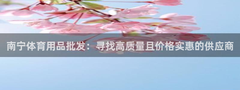 欧陆娱乐代理多少个点位合适：南宁体育用品批发：寻找高