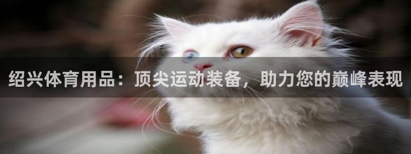 欧陆娱乐是正规平台吗安全吗可靠吗可信吗：绍兴体育用品