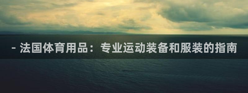 欧陆娱乐代理多少个点位合适：- 法国体育用品：专业运