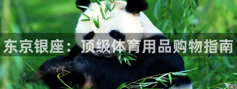 欧陆娱乐打什么方案赚钱：东京银座：顶级体育用品购物指