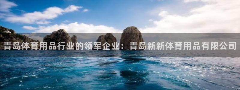 欧陆娱乐平台登陆地址是什么：青岛体育用品行业的领军企