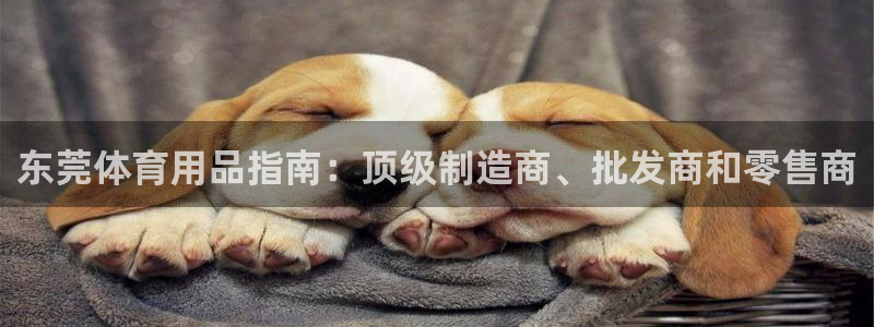 欧陆娱乐登录测速网站：东莞体育用品指南：顶级制造商、