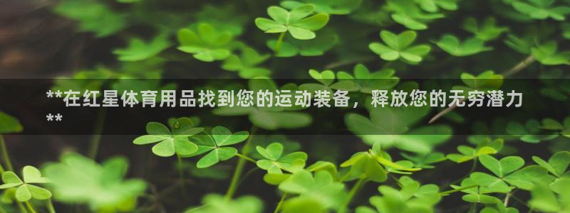 欧陆娱乐群里怎么进：**在红星体育用品找到您的运动装