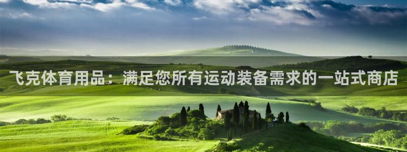 欧陆娱乐有限公司：飞克体育用品：满足您所有运动装备需