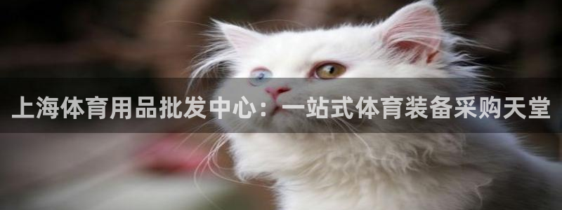 欧陆娱乐百科：上海体育用品批发中心：一站式体育装备采