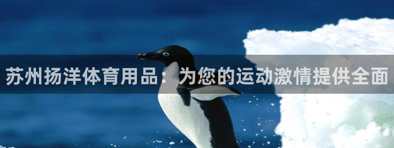欧陆娱乐官方网站入口：苏州扬洋体育用品：为您的运动激