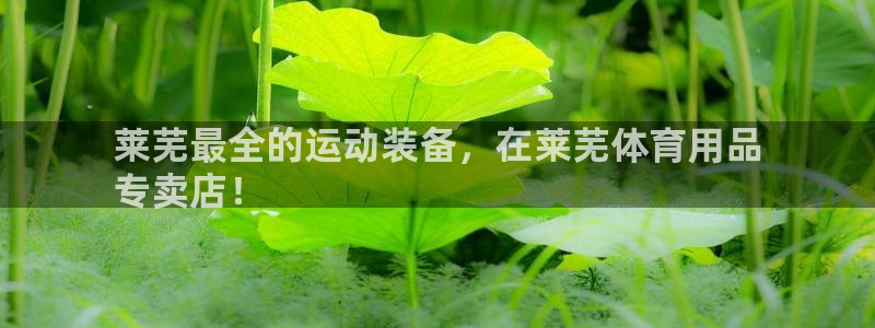 欧陆娱乐里面怎么看打排五：莱芜最全的运动装备，在莱芜
