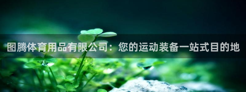 欧陆娱乐注册代理多少钱一年：图腾体育用品有限公司：您