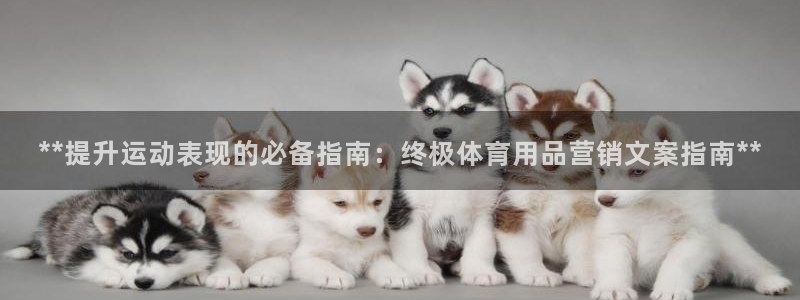 欧陆娱乐登陆平台：**提升运动表现的必备指南：终极体