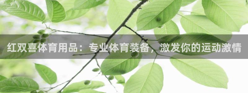 欧陆娱乐官网入口网址：红双喜体育用品：专业体育装备，激发你的