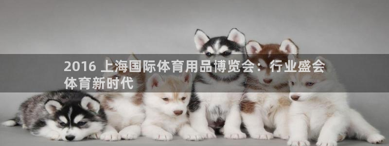 欧陆娱乐平台登录不上去怎么办：2016 上海国际体育