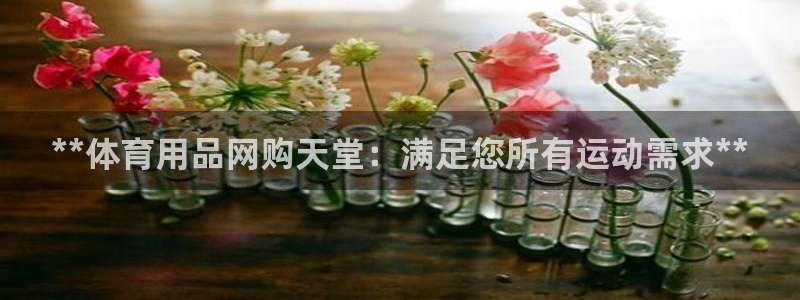 欧陆娱乐里面怎么看打排五：**体育用品网购天堂：满足