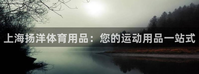 欧陆平台：上海扬洋体育用品：您的运动用品一站式