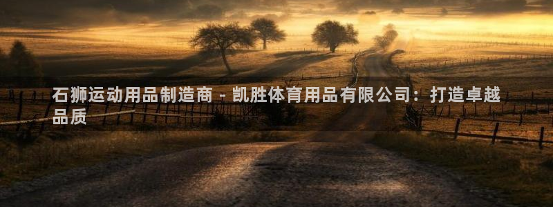 欧陆娱乐登陆平台下载：石狮运动用品制造商 - 凯胜体