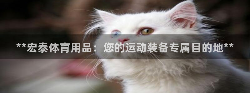欧陆娱乐有限公司怎么样：**宏泰体育用品：您的运动装