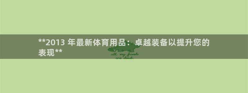 欧陆娱乐有风险吗：**2013 年最新体育用品：卓越