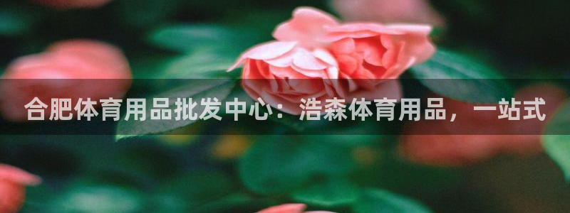 欧陆娱乐怎么注册账号啊：合肥体育用品批发中心：浩森体育用品，