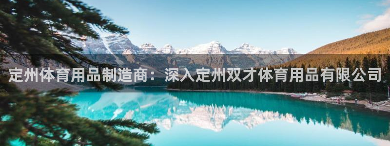 欧陆娱乐平台官网下载：定州体育用品制造商：深入定州双