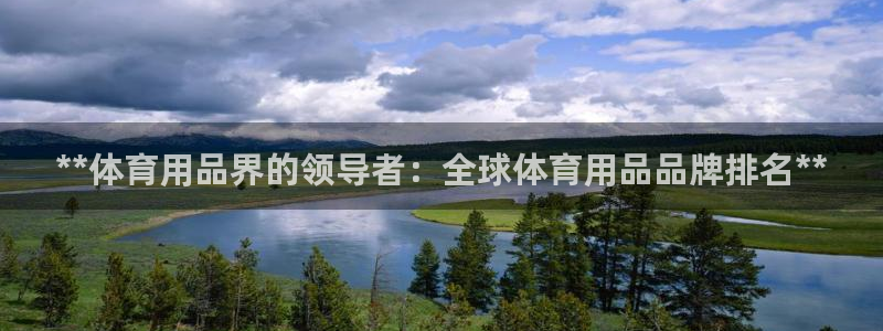 欧陆娱乐代理多少个点位啊：**体育用品界的领导者：全
