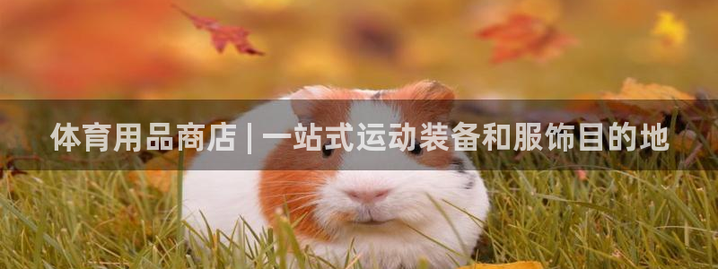 欧陆娱乐怎么注册账号登录：体育用品商店 | 一站式运