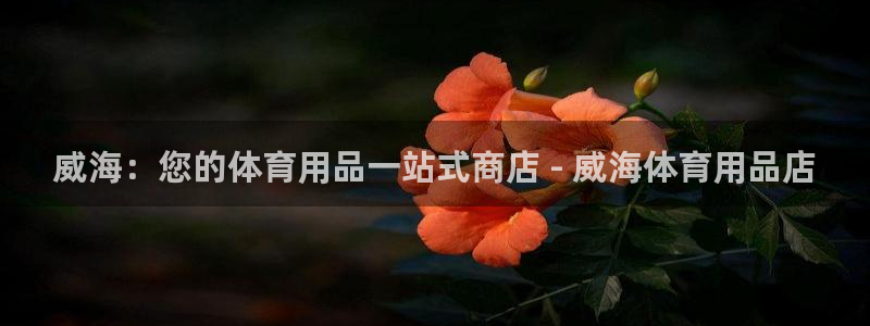 欧陆娱乐登录平台下载：威海：您的体育用品一站式商店 